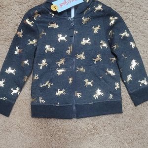 Hoodie toddler size 2T